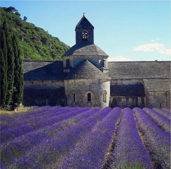 Mas Orea Cote Piscine Gordes Exterior photo